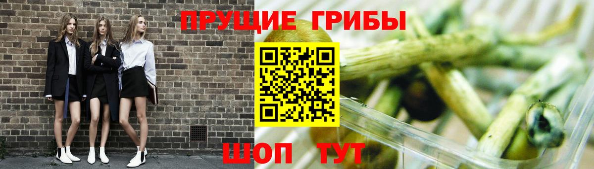 Ярославль  Псилоцибиновые грибы мухоморы  Псилоцибиновые грибы Magic Shrooms  наркошоп  Вход с VPN 